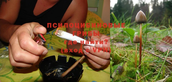 амф Магадан