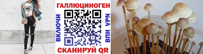 Псилоцибиновые грибы Psilocybe  Энем 
